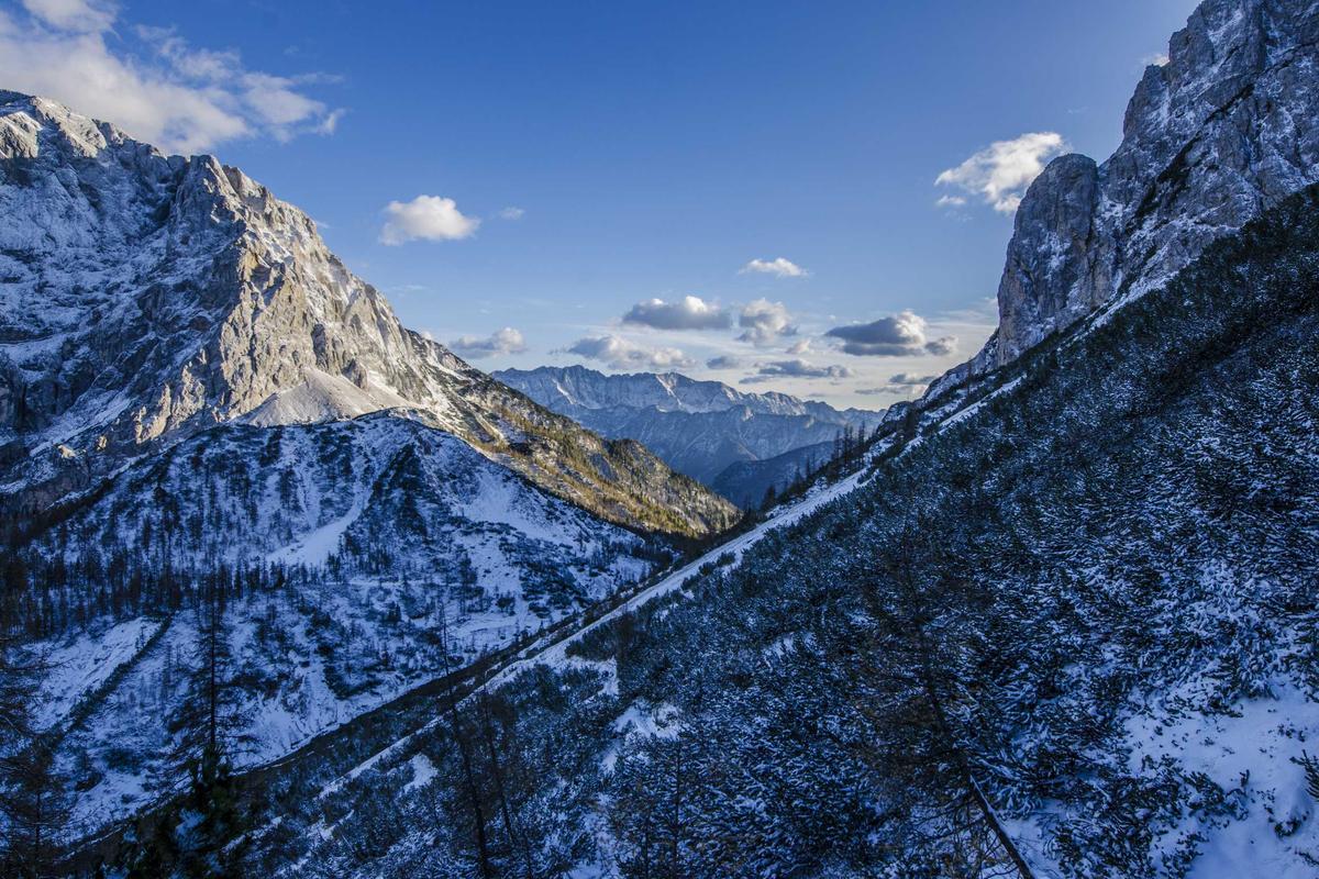 Allée de gravier serpentant entre des massifs de graminées et de romarin